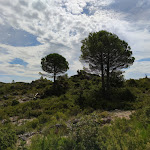 Photo n° 18 de l'avis de Bruno.o fait le 08/08/2021 à 13:03 pour Cirque de Mourèze à Mourèze