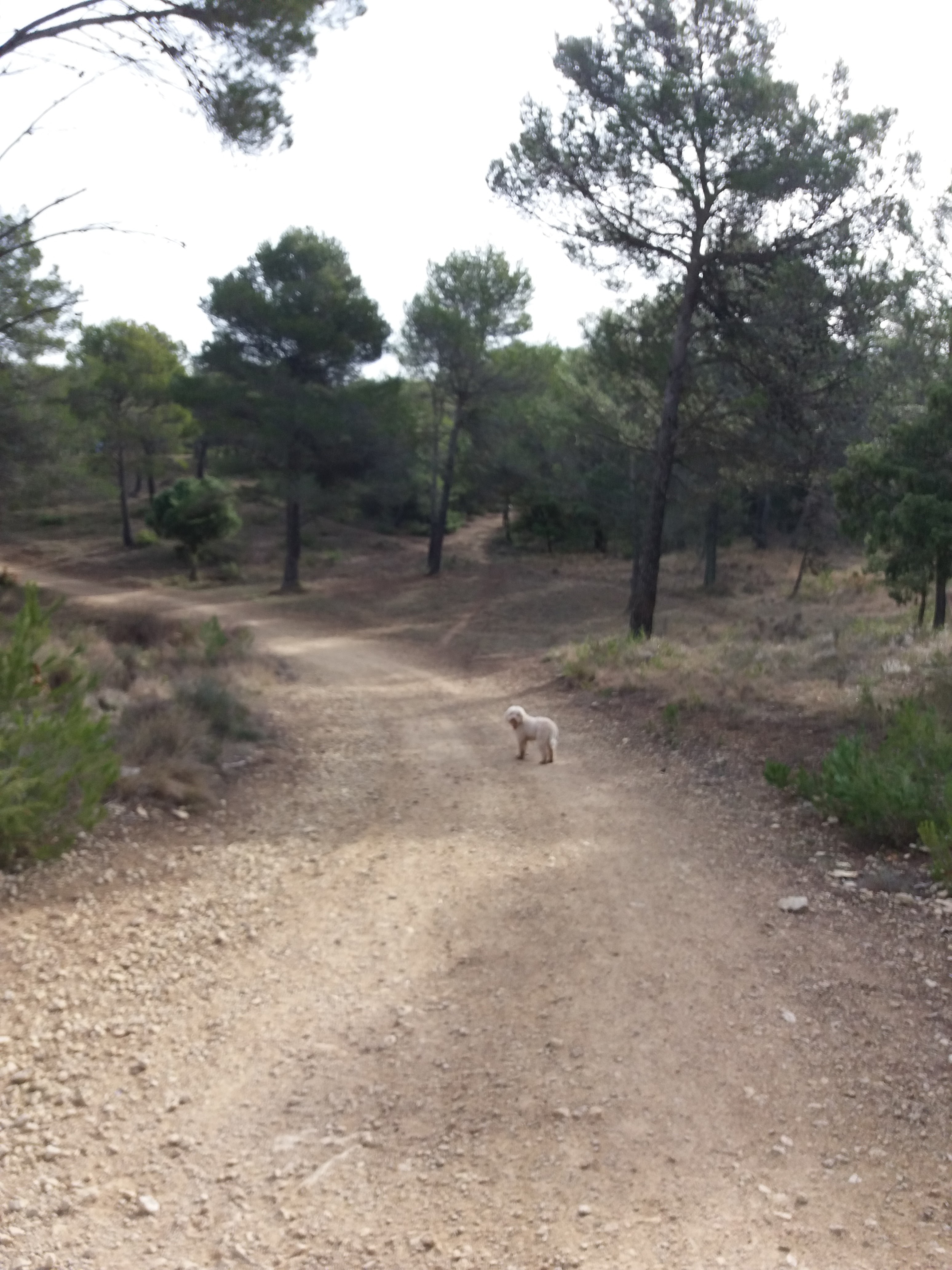 Photo n° 3 de l'avis de Nelly.h fait le 26/07/2019 à 07:25