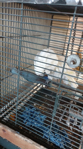 Car Wash «Pacific Car Wash Corporation», reviews and photos, 41080 Trimboli Way, Fremont, CA 94538, USA