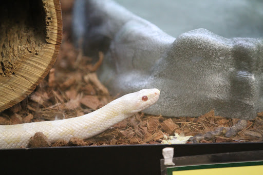 Nature Preserve «W w Knight Nature Preserve», reviews and photos, 29530 White Rd, Perrysburg, OH 43551, USA