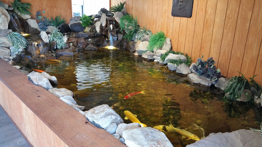 Connie's Pond and Koi