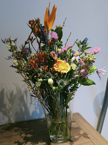 https://bloementhalia.be/