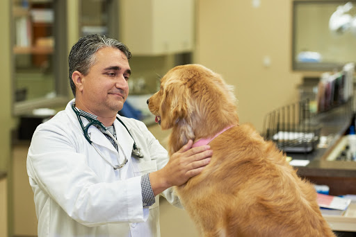 Triangle Veterinary Referral Hospitals