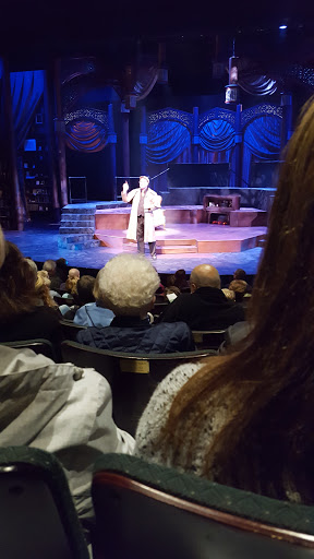 Performing Arts Theater «Meadow Brook Theatre», reviews and photos, 378 Meadow Brook Rd, Rochester, MI 48309, USA