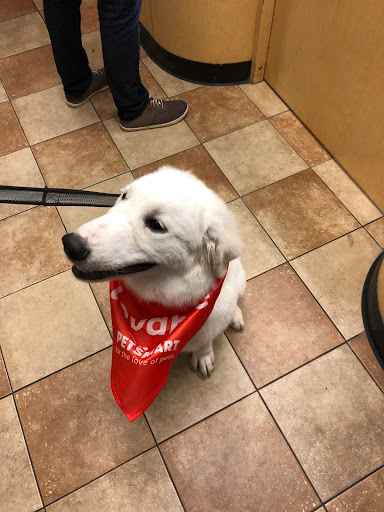 Pet Supply Store «PetSmart», reviews and photos, 20 W University Pkwy, Orem, UT 84058, USA