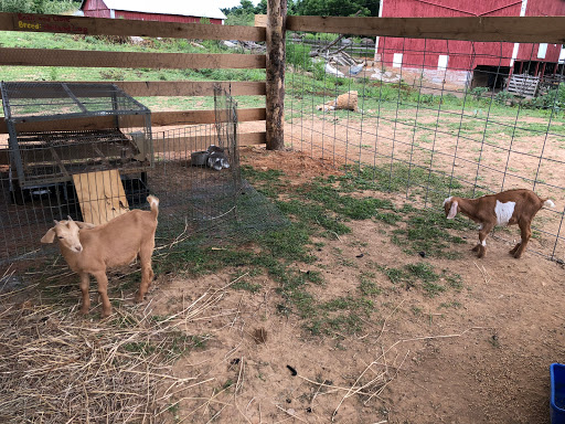 Produce Market «Richards Fruit Market», reviews and photos, 6410 Middle Rd, Middletown, VA 22645, USA