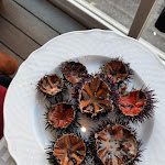 Photo n°4 de l'avis de Emanuela.i fait le 21/02/2021 à 19:27 sur le  Trattoria Saltimbocca Da Giancarlo à Catania