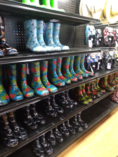 Animal Feed Store «West Lebanon Feed & Supply», reviews and photos, 12 Railroad Ave, West Lebanon, NH 03784, USA