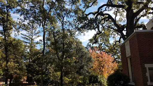 Santa Rosa Junior College image