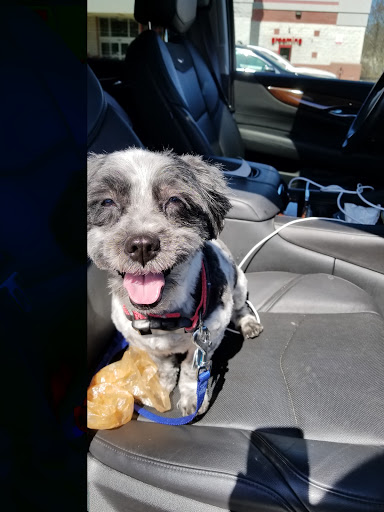 Pet Supply Store «Petco Animal Supplies», reviews and photos, 163 Highland Ave, Needham, MA 02494, USA