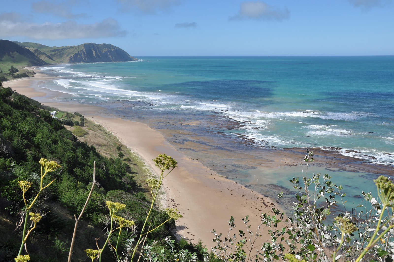 Photo of Waihau Bay Beach with very clean level of cleanliness