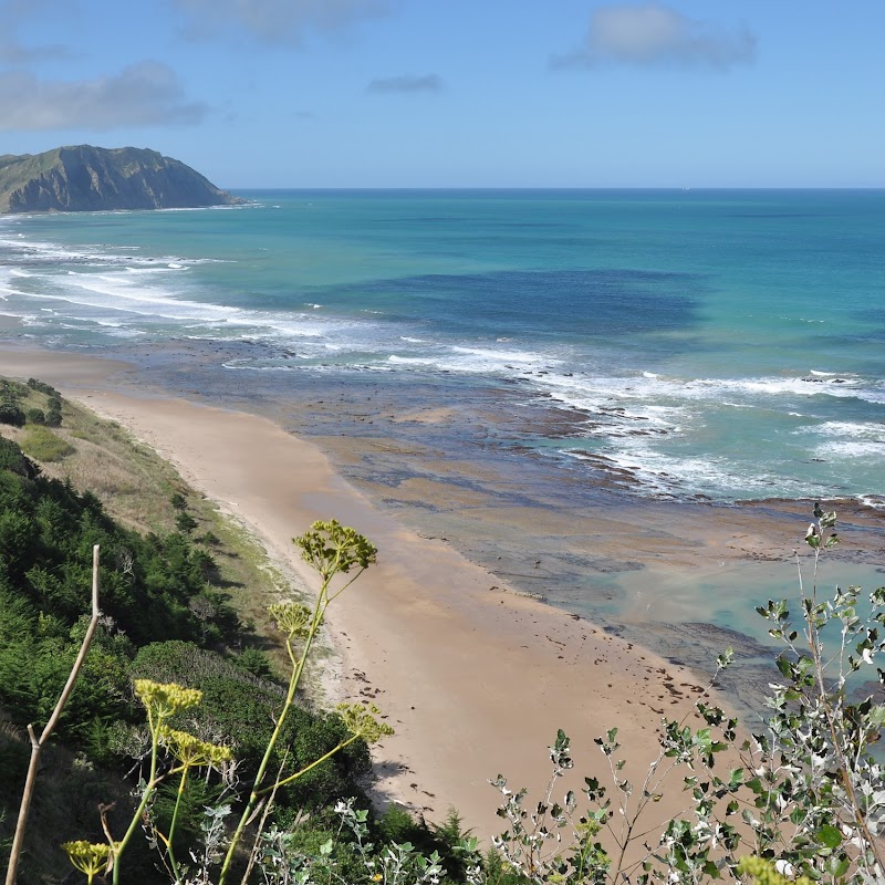 Waihau Bay Beach