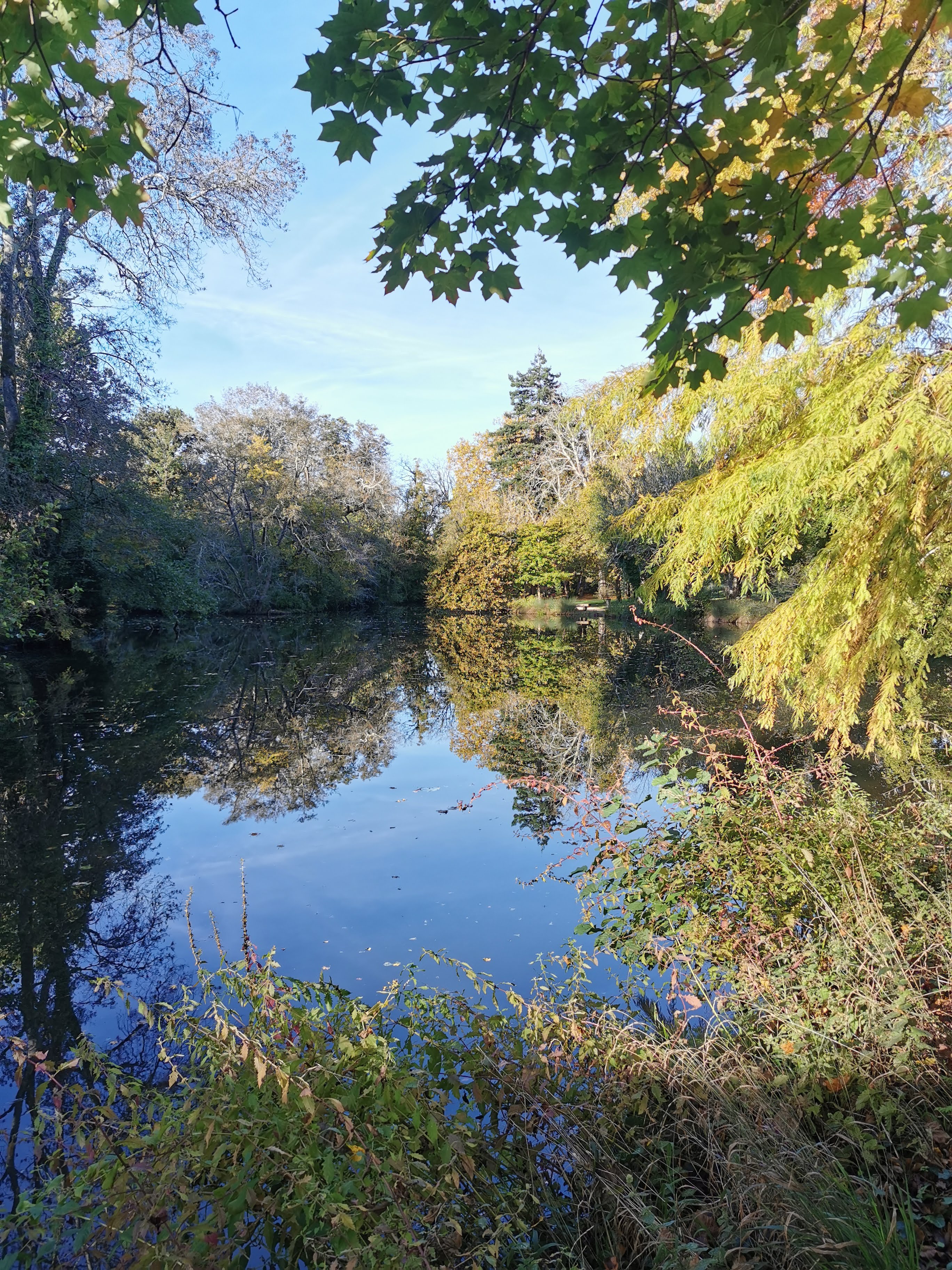 Photo n° 41 de l'avis de Alexandre.l fait le 27/10/2021 à 18:59
