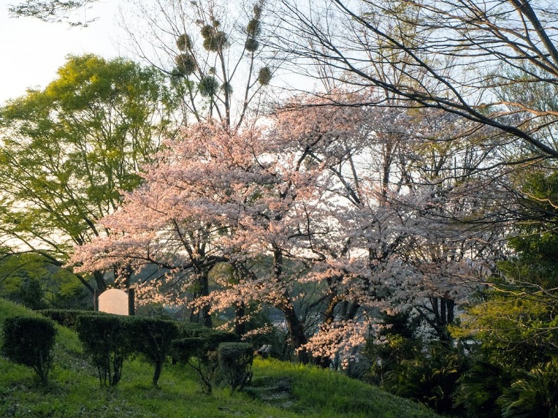 修復古墳群