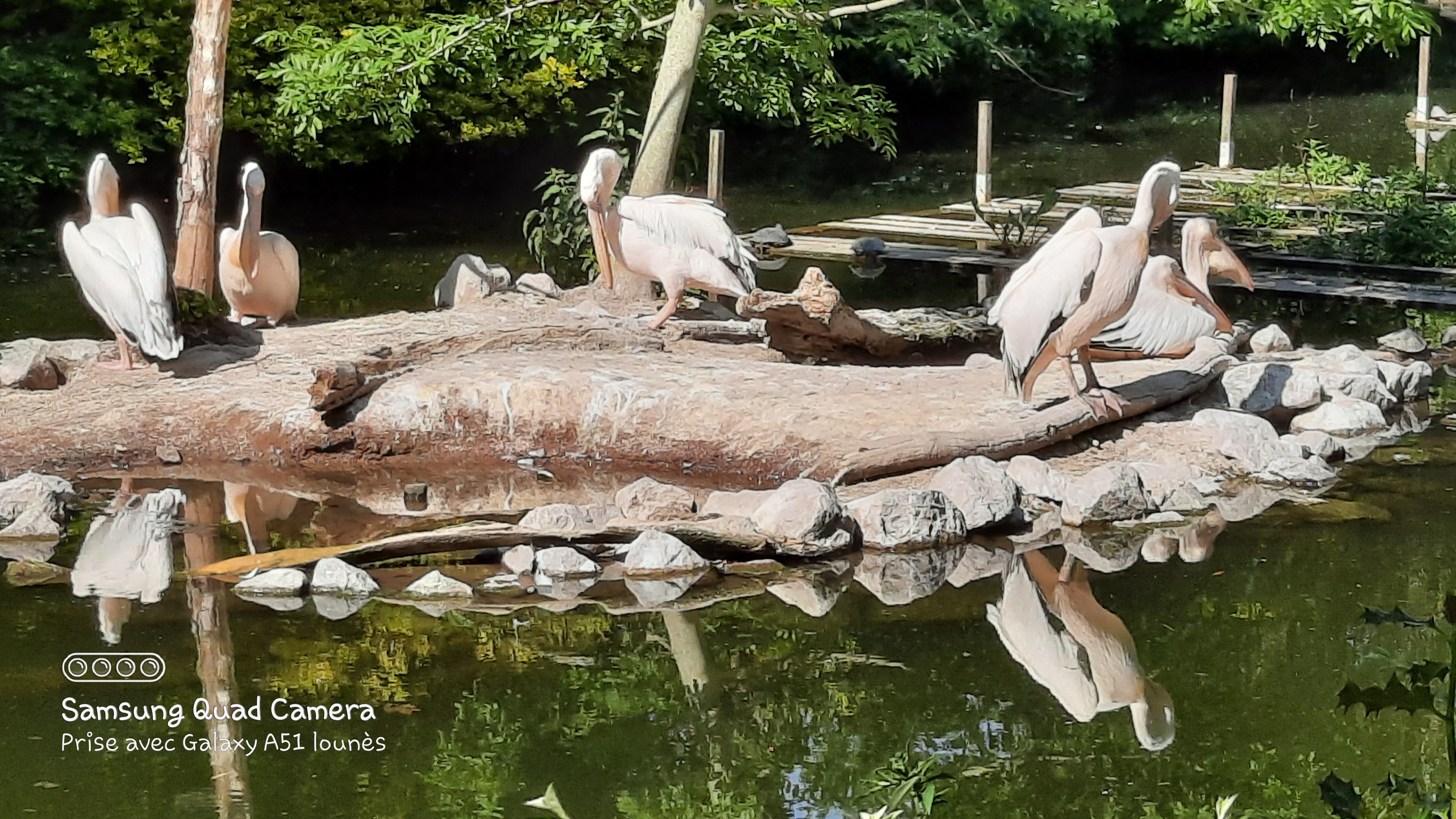 Photo n° 25 de l'avis de Lounes. fait le 02/06/2021 à 21:26