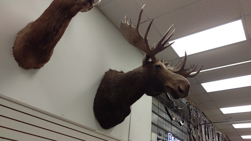 Sporting Goods Store «Kames Sports», reviews and photos, 8516 Cleveland Ave NW, North Canton, OH 44720, USA