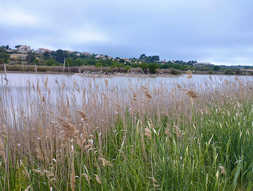 Parc du Sesquier à Mèze