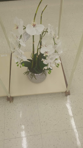 Craft Store «Hobby Lobby», reviews and photos, 20091 Gulf Fwy, Webster, TX 77598, USA