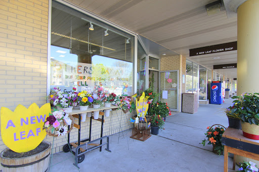 Florist «A New Leaf Flowers and Gifts», reviews and photos, 4106 Monona Dr, Madison, WI 53716, USA