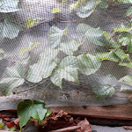 Photo n°2 de l'avis de Sara.e fait le 09/05/2020 à 05:55 sur le  Agriturismo Torrazzetta à Borgo Priolo