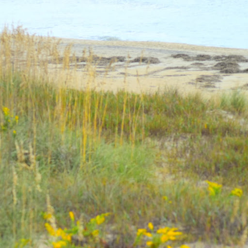 Bicycle Rental Service «Ocean Rentals Ltd.», reviews and photos, 577 Sandbridge Rd, Virginia Beach, VA 23456, USA