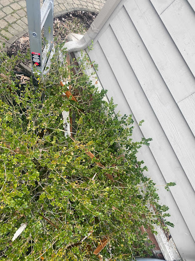 Animal Control Service «Platinum Wildlife Removal», reviews and photos