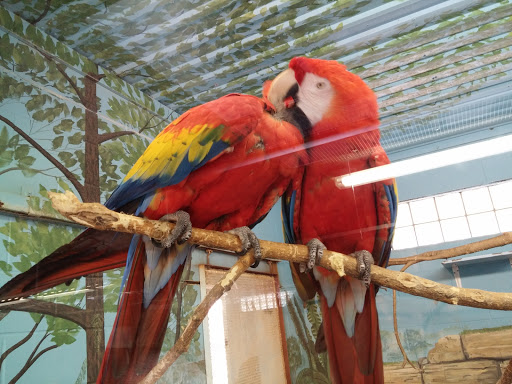 Zoo «Niabi Zoo», reviews and photos, 13010 Niabi Zoo Rd, Coal Valley, IL 61240, USA