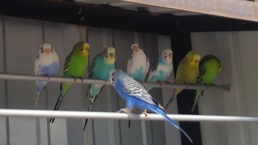 Zoo «Turtle Back Zoo», reviews and photos, 560 Northfield Ave, West Orange, NJ 07052, USA