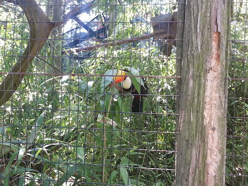 Golf Club «Stone Harbor Golf Club», reviews and photos, 905 U.S. 9, Cape May Court House, NJ 08210, USA