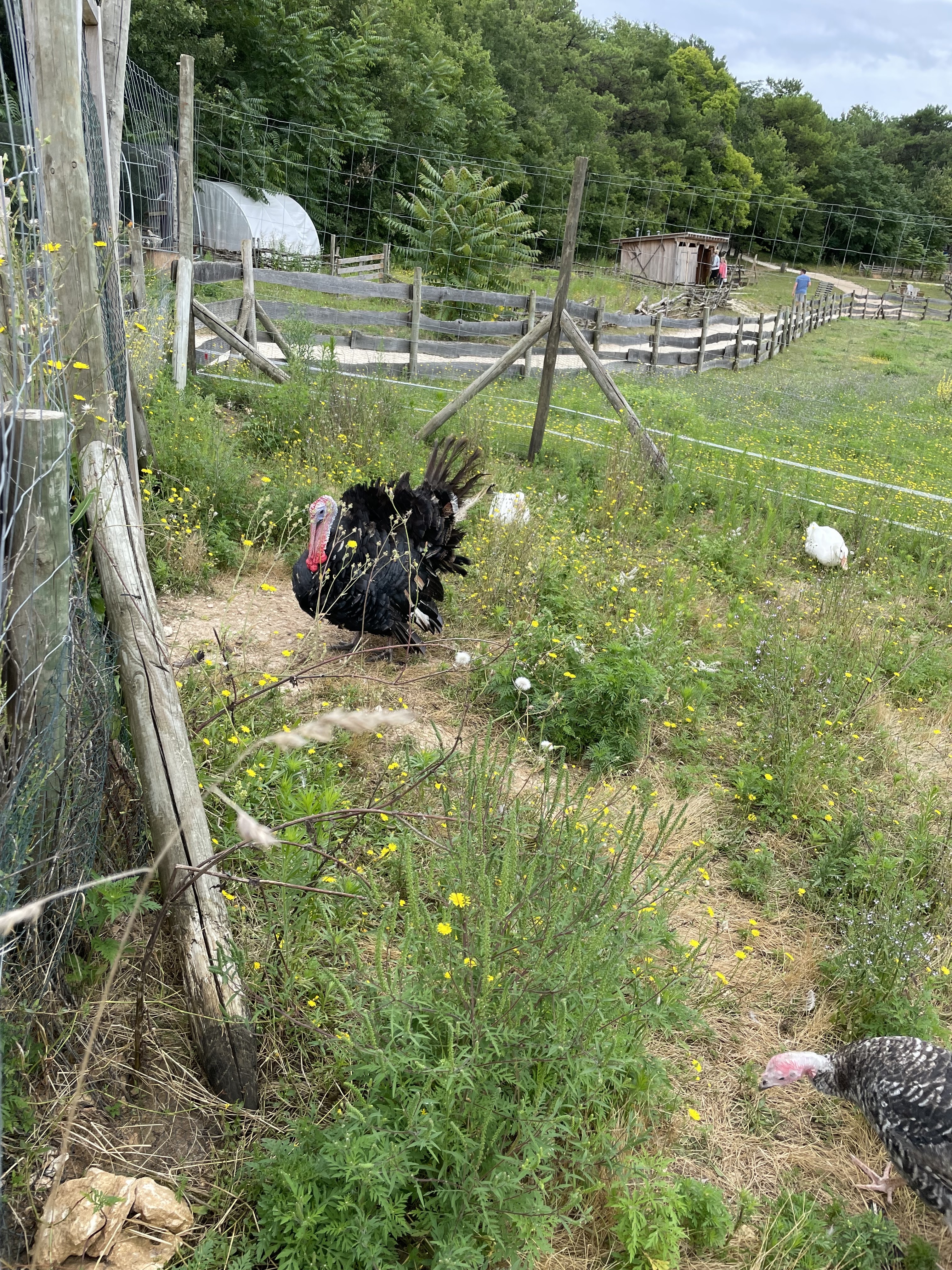 Photo n° 4 de l'avis de Saïd.l fait le 03/08/2021 à 16:42
