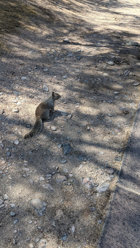 Golf Club «We-Ko-Pa Golf Club», reviews and photos, 18200 E Toh Vee Cir, Fort McDowell, AZ 85264, USA