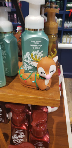 Beauty Supply Store «Bath & Body Works», reviews and photos, 10343 E US Hwy 36, Avon, IN 46123, USA