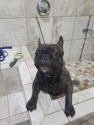 Pet Supply Store «The Natural Pet Outlet», reviews and photos, 3380 Fairfield Ave, Bridgeport, CT 06605, USA