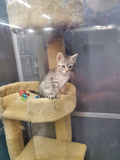 Pet Supply Store «Pet Supplies Plus», reviews and photos, 375 Paterson Ave #105, Wallington, NJ 07057, USA