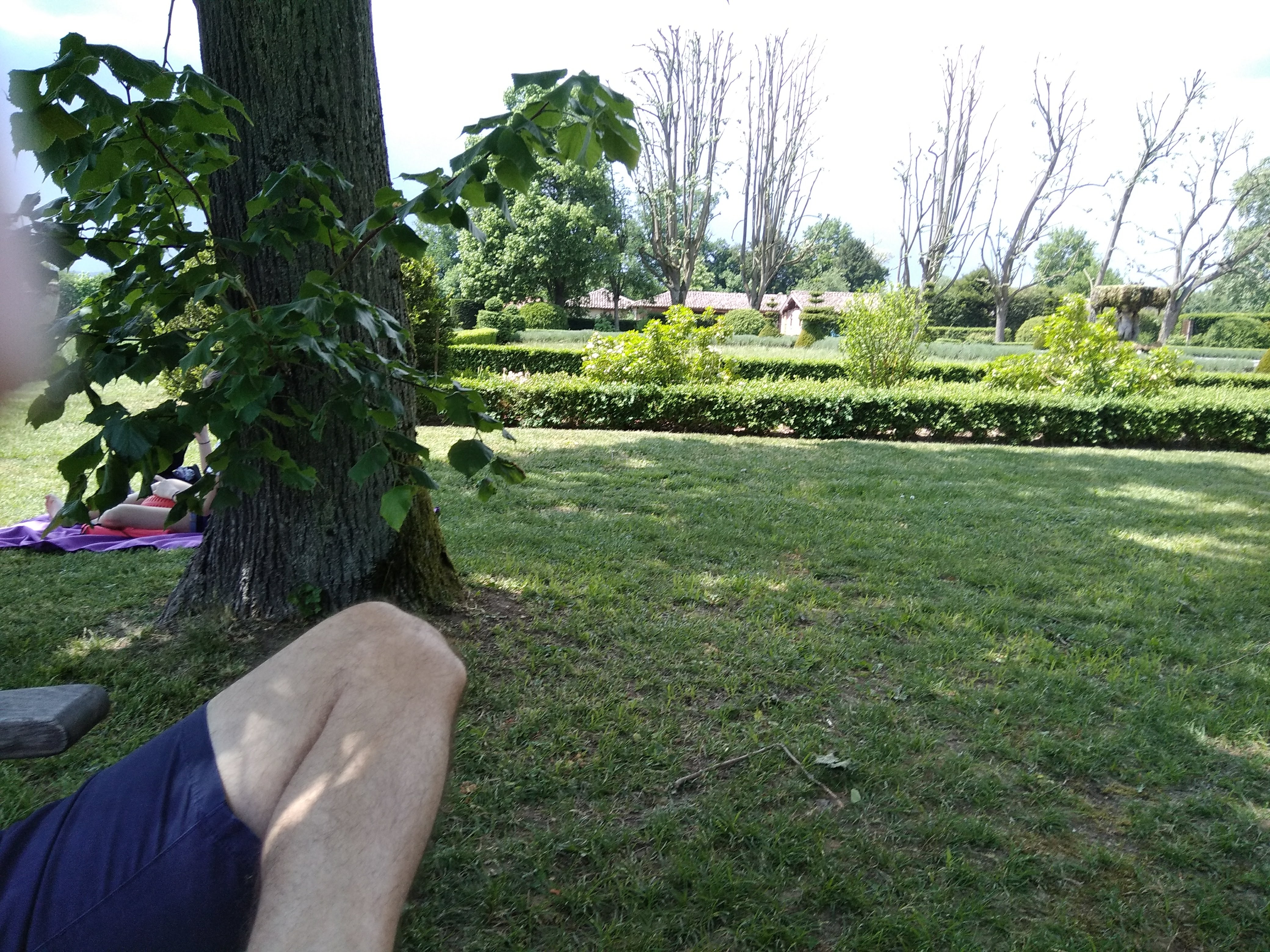 Photo n° 31 de l'avis de Rafaël. fait le 08/05/2018 à 11:48