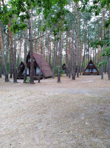 Leśny Kont do Sieraków