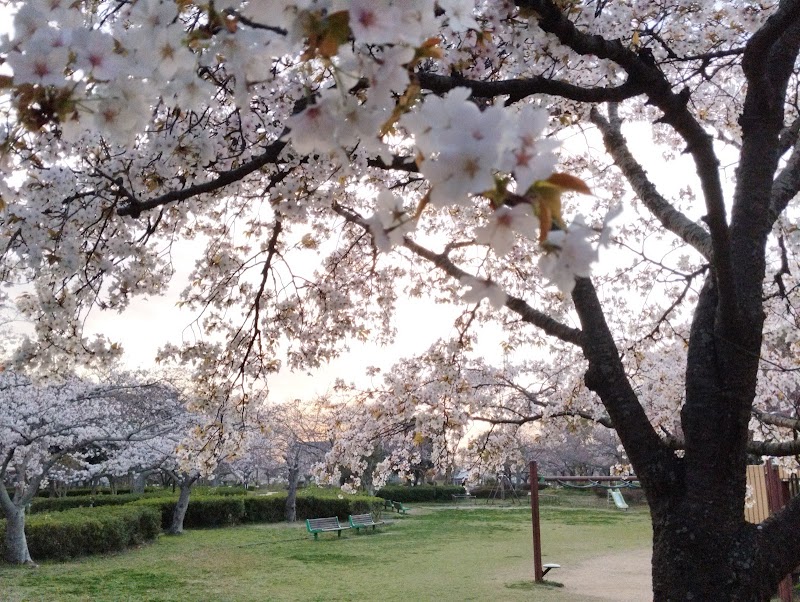 小野田中央公園