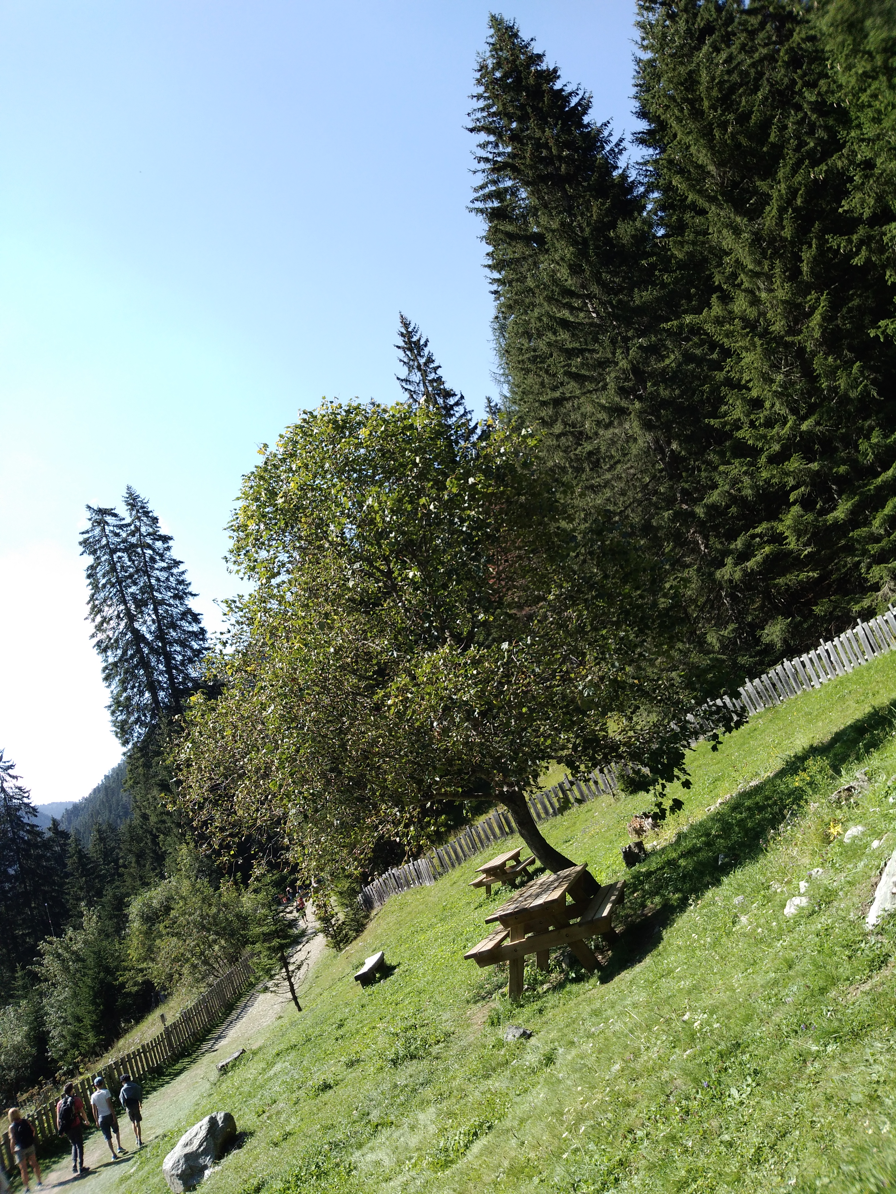 Photo n° 3 de l'avis de Cm.o fait le 16/08/2018 à 11:15