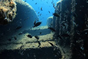 Ocean Blue Scuba Diving School image