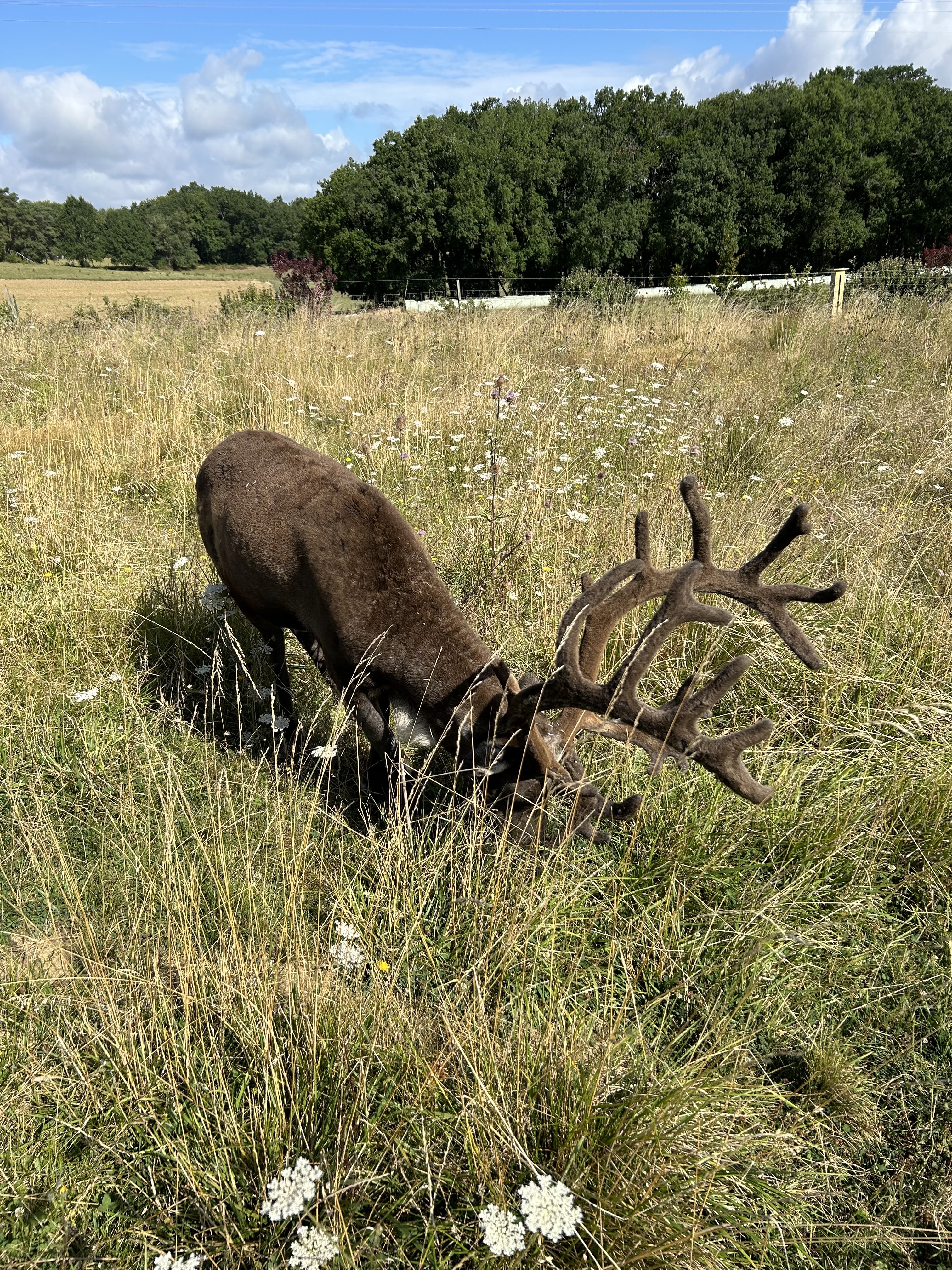 Photo n° 2 de l'avis de kozak73. fait le 05/08/2023 à 16:26