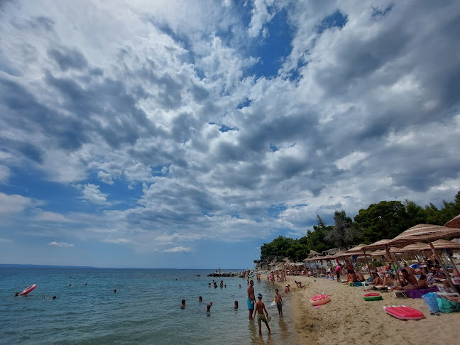 Comentarii opinii despre Ακτή Κοβιού