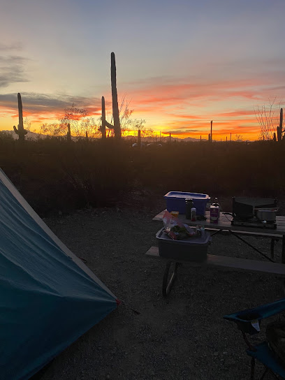 Tucson mnt Park campsite