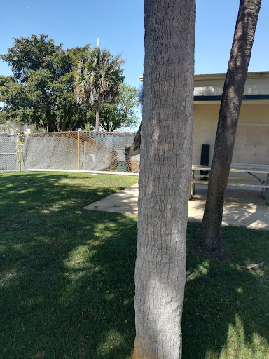 Park «Pine Island Park», reviews and photos, 320 S Pine Island Rd, Plantation, FL 33324, USA