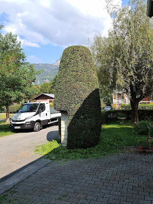 weiss elagage | elagueur bagnols sur seze à Bagnols-sur-Cèze