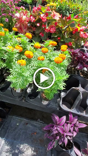 Tire Shop «Walmart Tires & Auto Parts», reviews and photos, 6192 Gunn Hwy, Tampa, FL 33625, USA