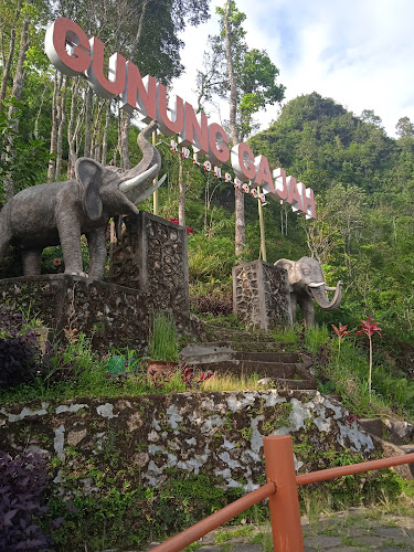 Wisata Tebing Gunung Gajah