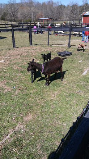 Wedding Venue «Rancho Alegre Farm», reviews and photos, 2225 Givens Rd, Dacula, GA 30019, USA