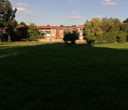 Johannesburg City Parks photo