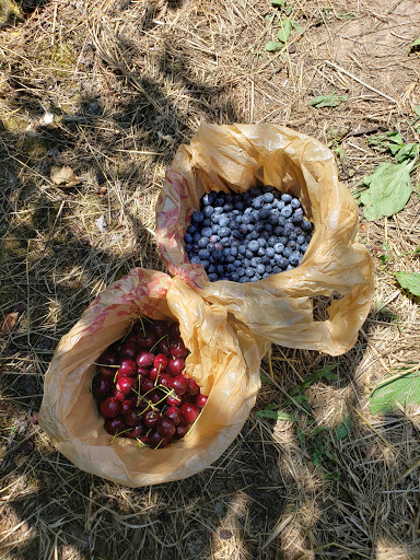 Produce Market «Race Farm», reviews and photos, 87 Belcher Rd, Blairstown, NJ 07825, USA