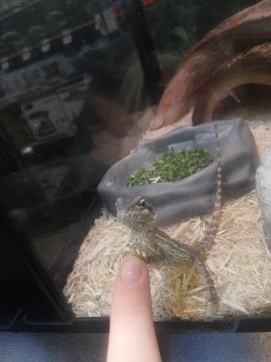 Pet Supply Store «Pet Supplies Plus», reviews and photos, 2157 Penfield Rd, Penfield, NY 14526, USA